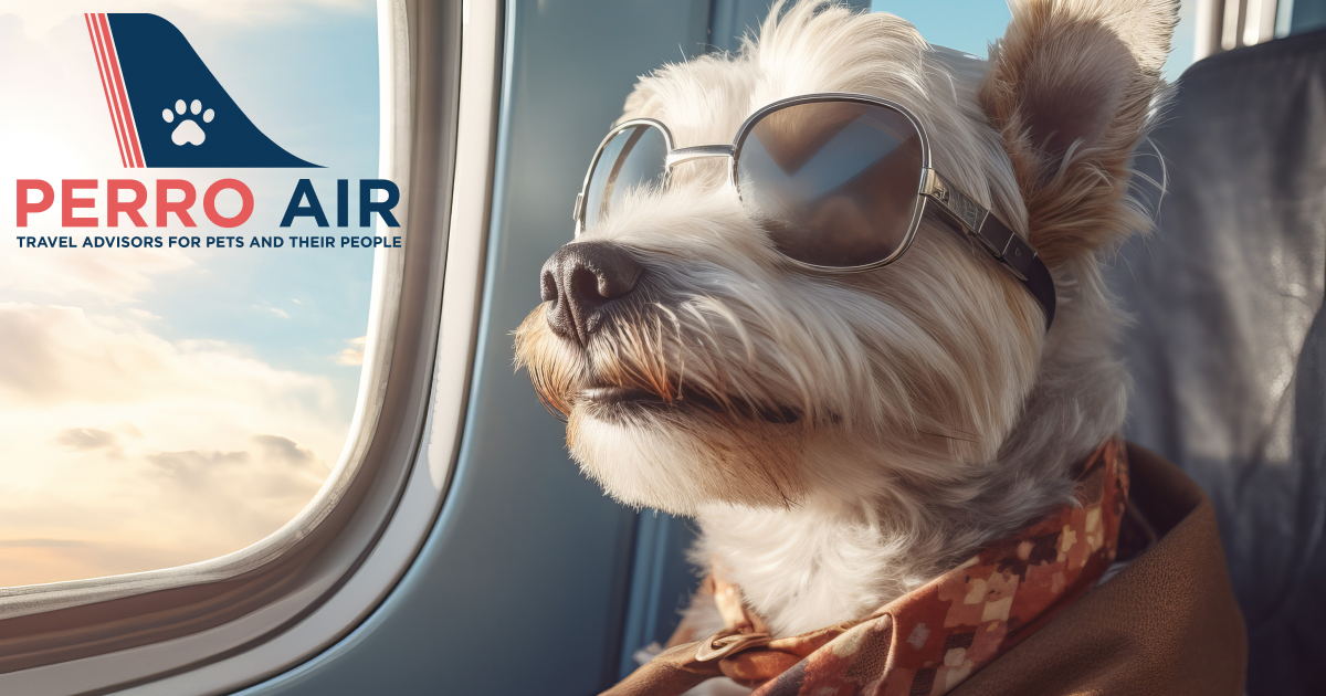 perro-air-travel-advisors-for-pets-and-their-people